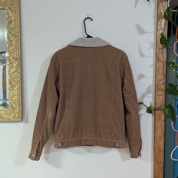 John Galt Corduroy Teddy Coat - Picture 5 of 7